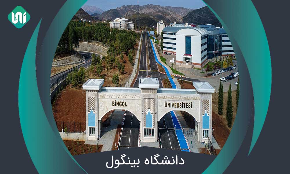 دانشگاه-بینگول