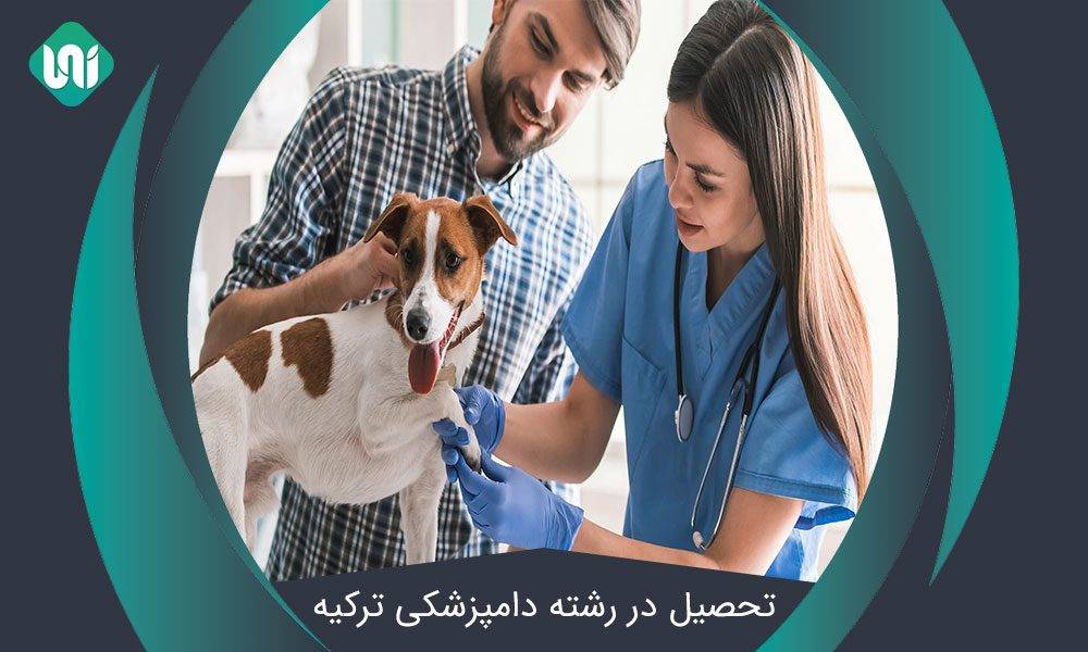 تحصیل-در-رشته-دامپزشکی-در-ترکیه
