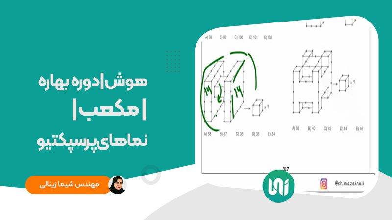 هوش-نماهای-پرسپکتیو